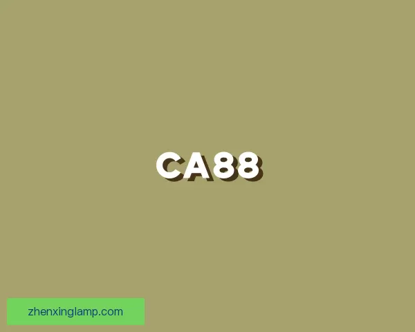 了解CA88